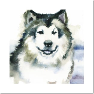 Watercolor Alaskan Malamute - Dog Lovers Posters and Art